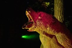 Night_Light_Run_08
