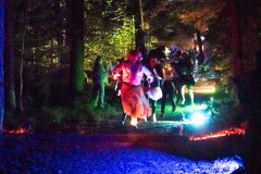 Night_Light_Run_13